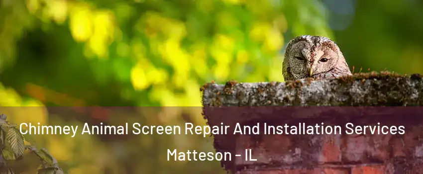  Chimney Animal Screen Repair And Installation Services Matteson - IL