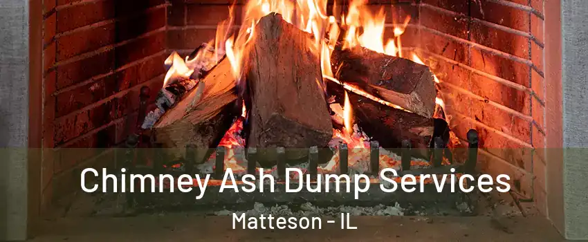  Chimney Ash Dump Services Matteson - IL