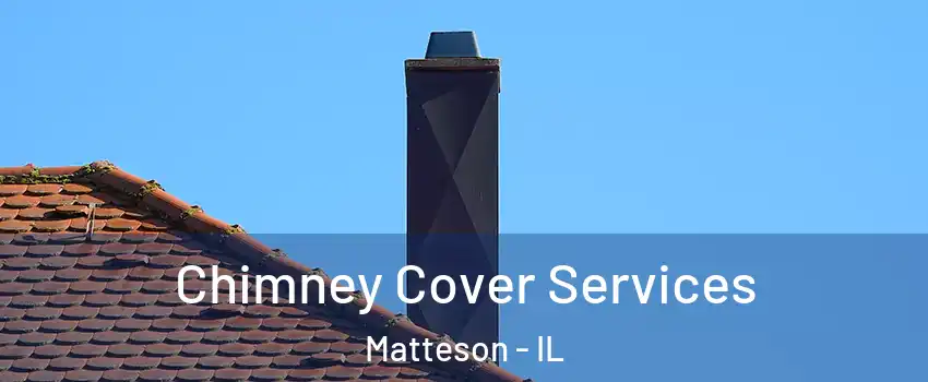  Chimney Cover Services Matteson - IL