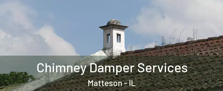  Chimney Damper Services Matteson - IL