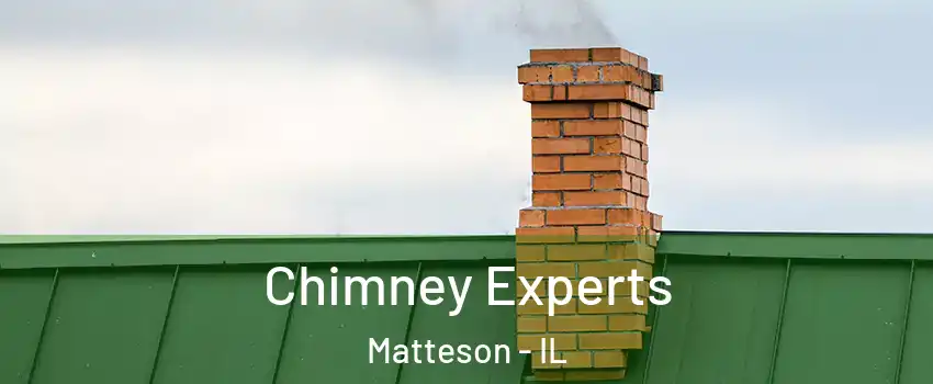  Chimney Experts Matteson - IL