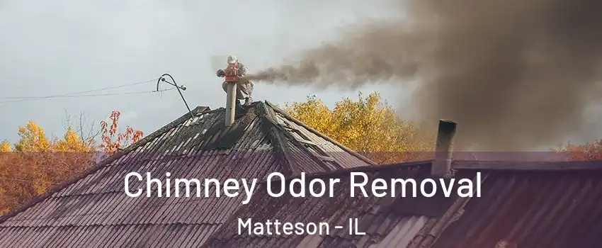  Chimney Odor Removal Matteson - IL
