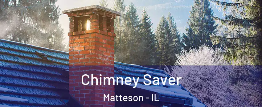  Chimney Saver Matteson - IL