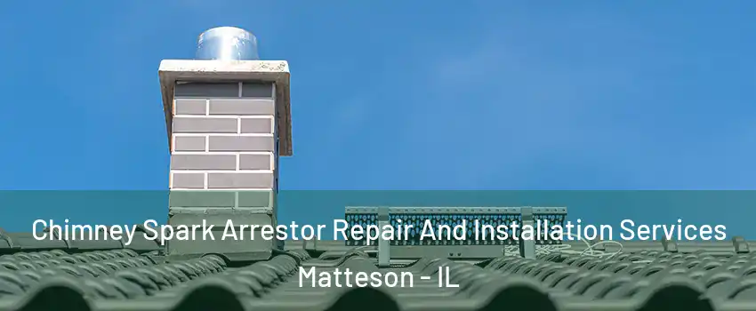  Chimney Spark Arrestor Repair And Installation Services Matteson - IL