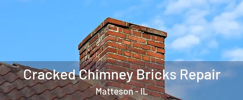  Cracked Chimney Bricks Repair Matteson - IL