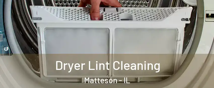 Dryer Lint Cleaning Matteson - IL