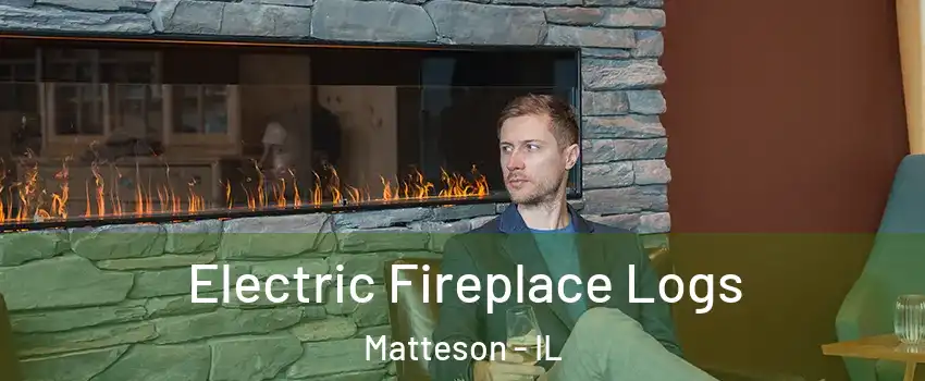  Electric Fireplace Logs Matteson - IL