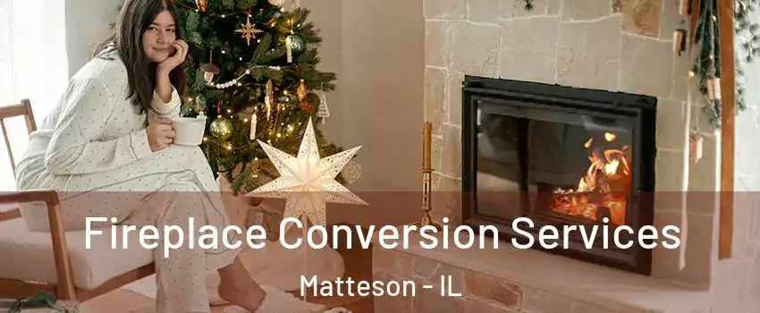  Fireplace Conversion Services Matteson - IL