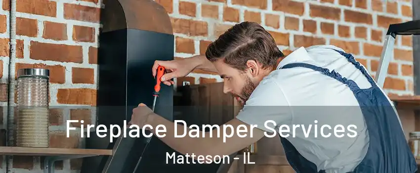  Fireplace Damper Services Matteson - IL
