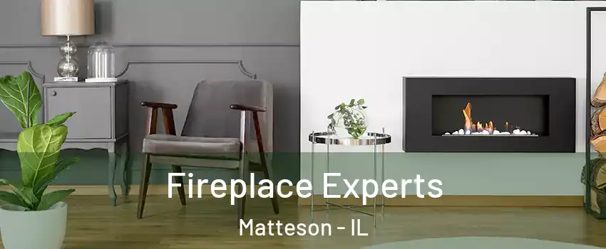  Fireplace Experts Matteson - IL