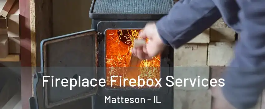  Fireplace Firebox Services Matteson - IL