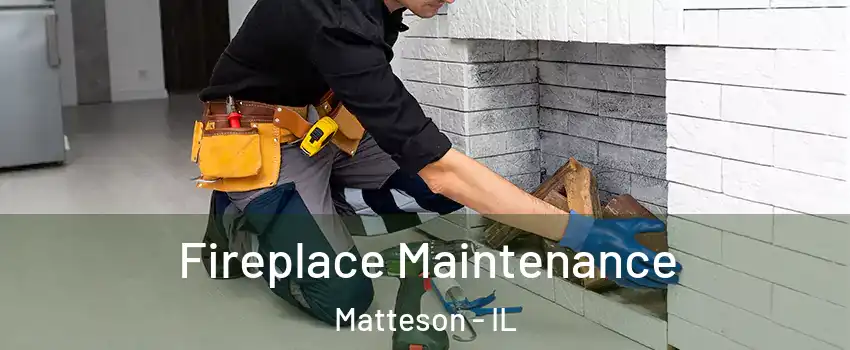  Fireplace Maintenance Matteson - IL
