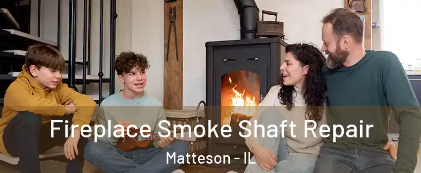  Fireplace Smoke Shaft Repair Matteson - IL