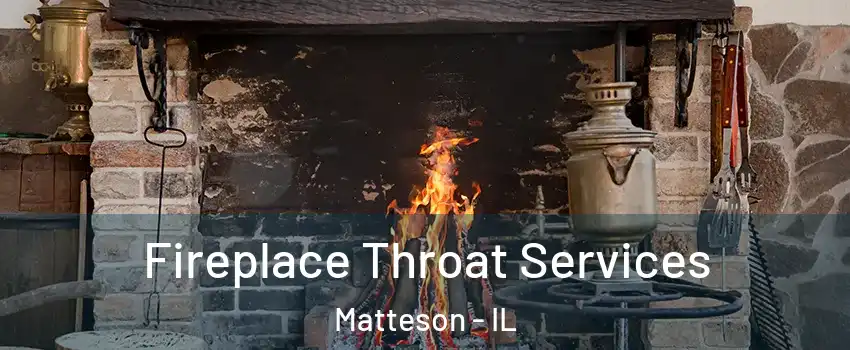  Fireplace Throat Services Matteson - IL