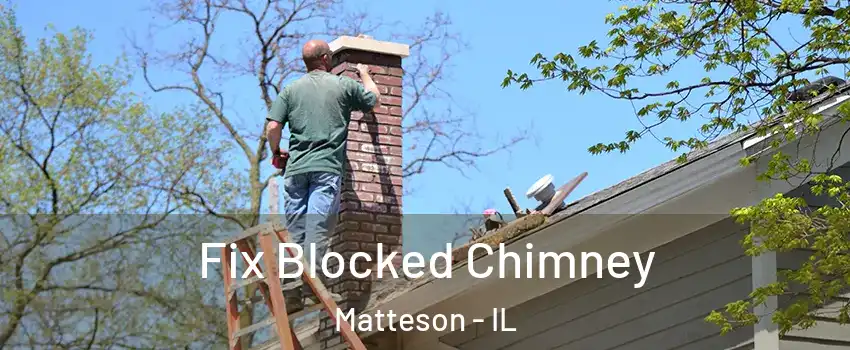  Fix Blocked Chimney Matteson - IL