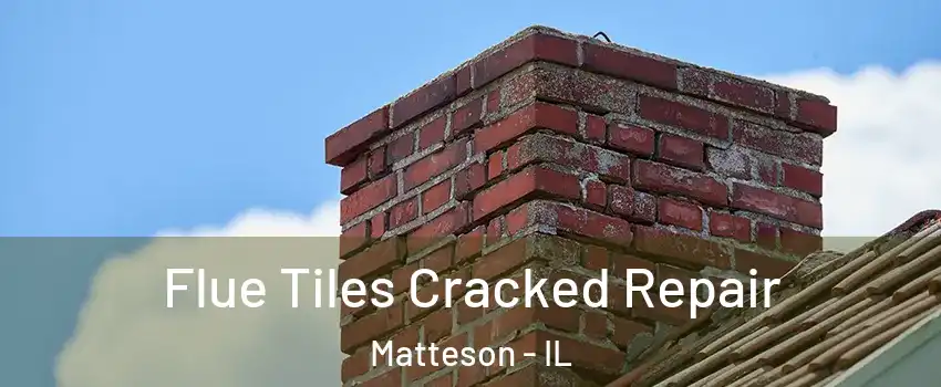  Flue Tiles Cracked Repair Matteson - IL