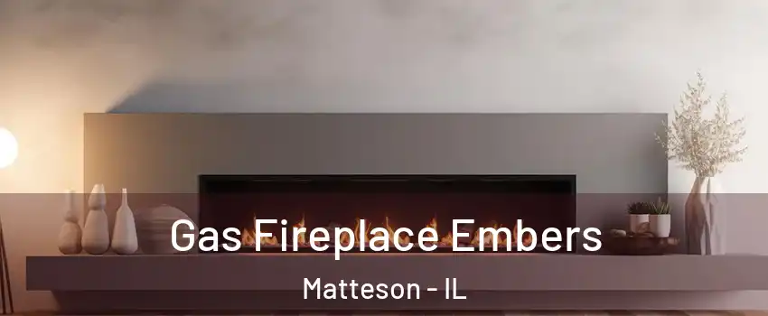  Gas Fireplace Embers Matteson - IL
