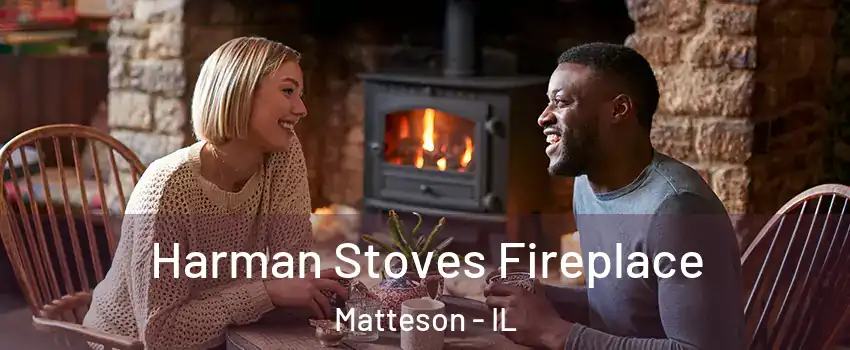  Harman Stoves Fireplace Matteson - IL