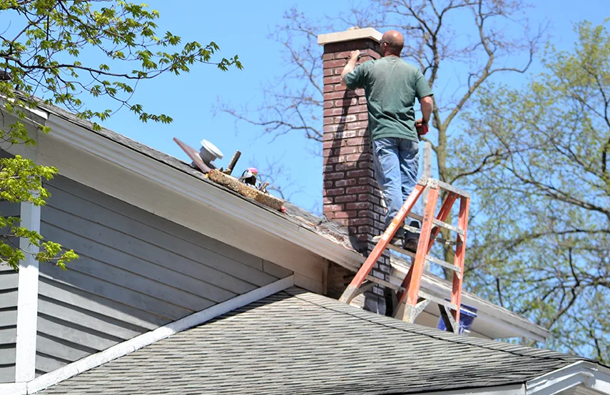 Chimney & Fireplace Inspections Services in Matteson, IL