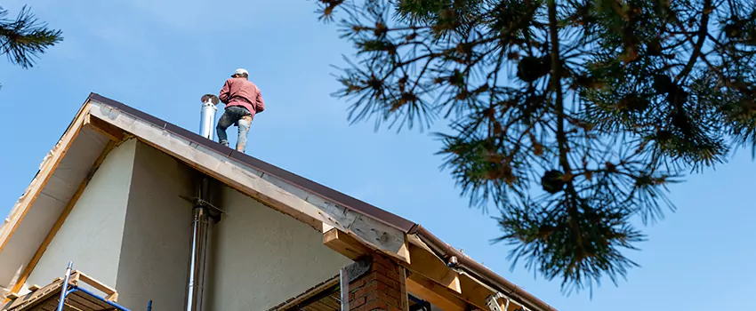 Birds Removal Contractors from Chimney in Matteson, IL