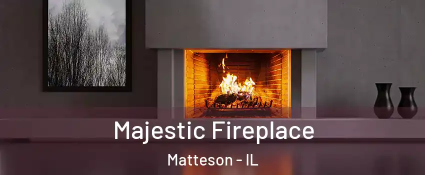  Majestic Fireplace Matteson - IL