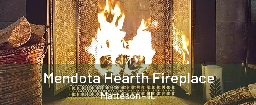 Mendota Hearth Fireplace Matteson - IL