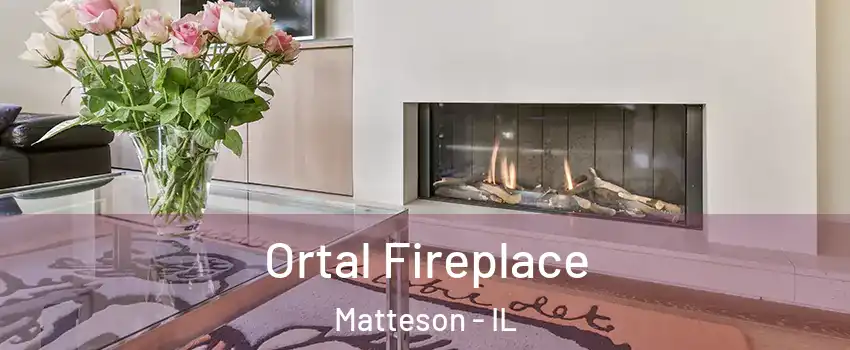  Ortal Fireplace Matteson - IL