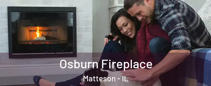  Osburn Fireplace Matteson - IL