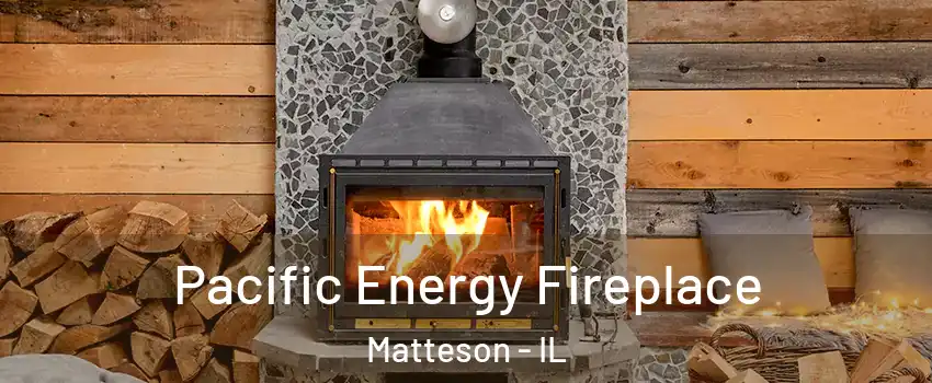  Pacific Energy Fireplace Matteson - IL