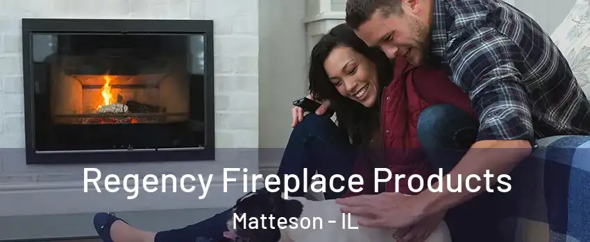  Regency Fireplace Products Matteson - IL